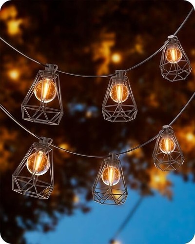 Outdoor festoon cage lights - festoon,